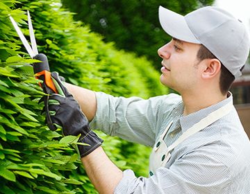 Hombre haciendo mantenimiento de jardines